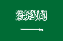 Saudi newspapers